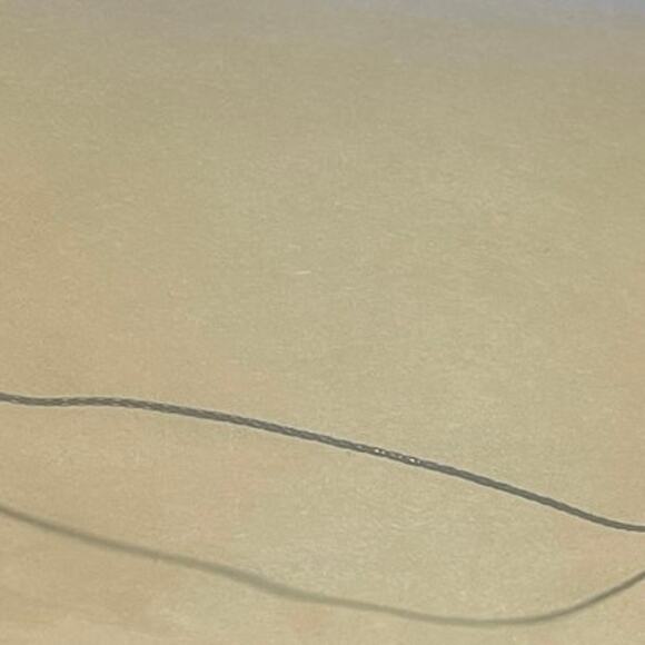 Linda Picken Dachshund Limited Print 377/800
1988 - Picture 5 of 5